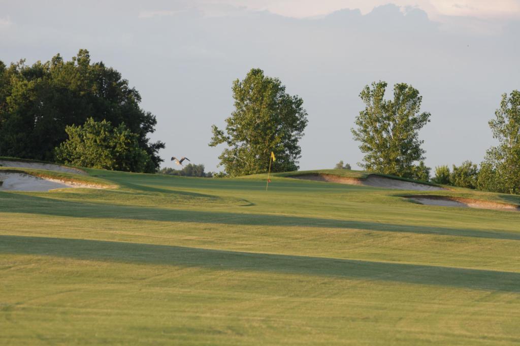 green at Thunder Bayou Golf Links